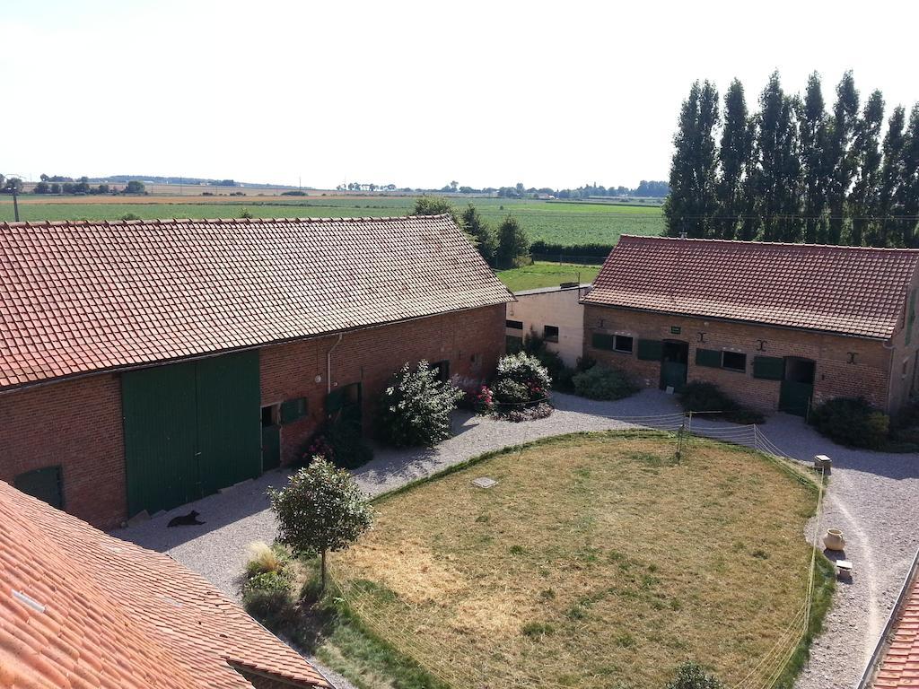 Gite De La Ferme Des Crins Blancs Villa Hazebrouck Ruang foto