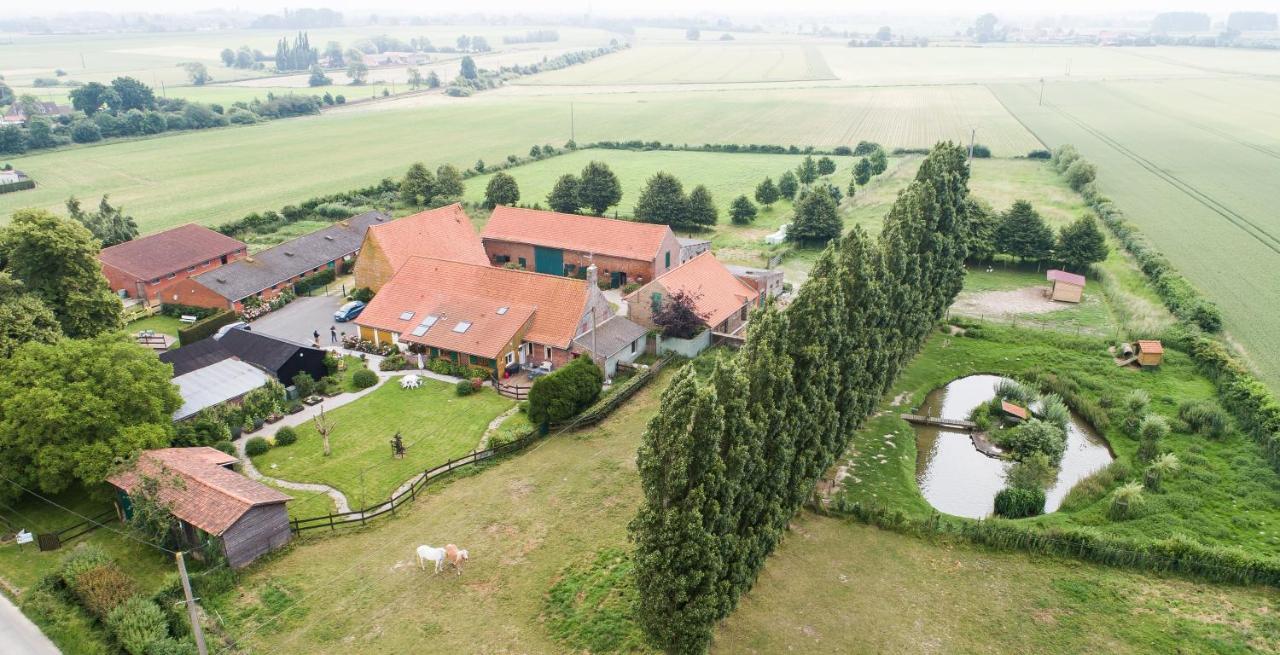 Gite De La Ferme Des Crins Blancs Villa Hazebrouck Bagian luar foto
